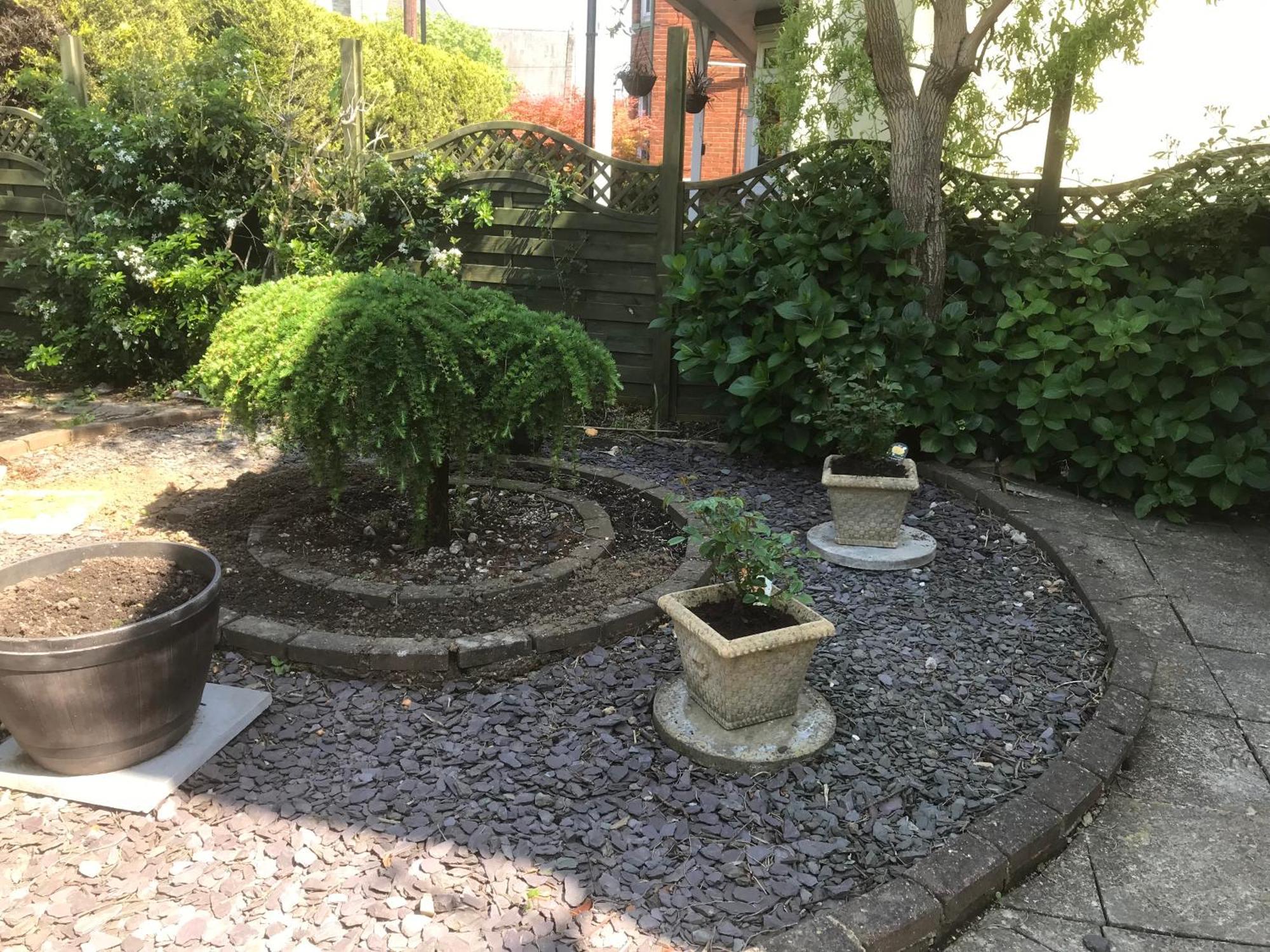 Citretum Angulus Southampton